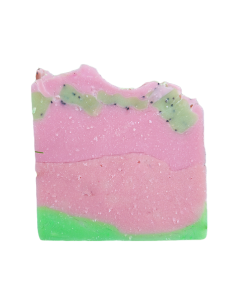 SHAMPOO BAR + WATERMELON SOAP